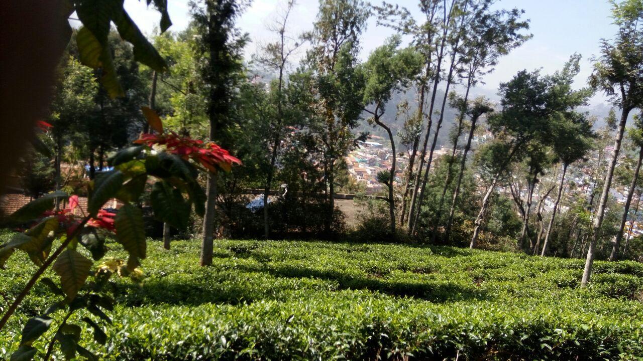 Ywca Wyoming Hotel Coonoor Kültér fotó